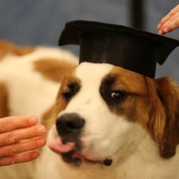 photograph by PeterW